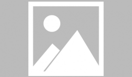 江珊王志文主演的电视剧